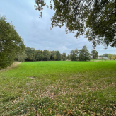 Te koop: uniek weiland in agrarisch gebied te Kessel