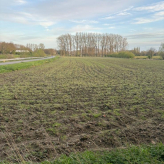 Goed bereikbaar perceel te koop Gavere Scheldekant – vrij van huur en pacht