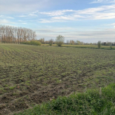 Goed bereikbaar perceel te koop Gavere Scheldekant – vrij van huur en pacht