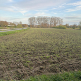 Goed bereikbaar perceel te koop Gavere Scheldekant – vrij van huur en pacht