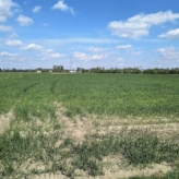 Ramsdonk: perceel landbouwgrond naast hoeve – Vinnenkestraat 9