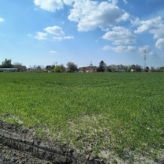 Ramsdonk: perceel landbouwgrond naast hoeve – Vinnenkestraat 9