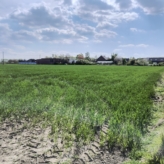 Ramsdonk: perceel landbouwgrond naast hoeve – Vinnenkestraat 9