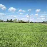 Ramsdonk: 3 percelen LANDBOUWGROND – pachtvrij