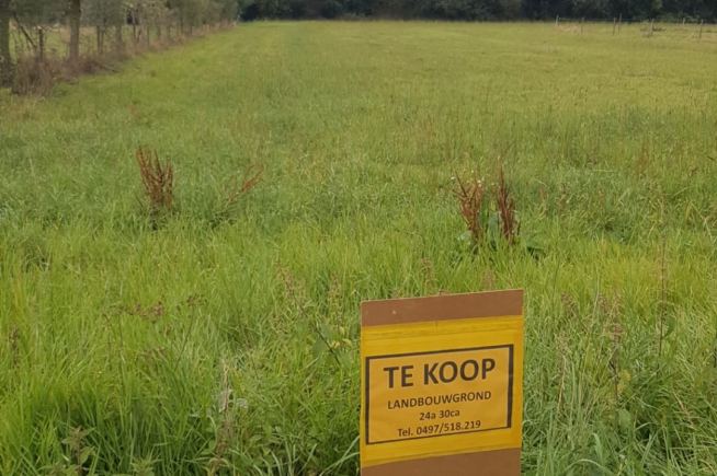 Goedgelegen landbouwgrond in Roosdaal Goedgelegen landbouwgrond in Roosdaal