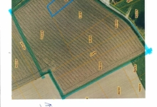 Landbouwgrond te Geraardsbergen, gelegen aan straat