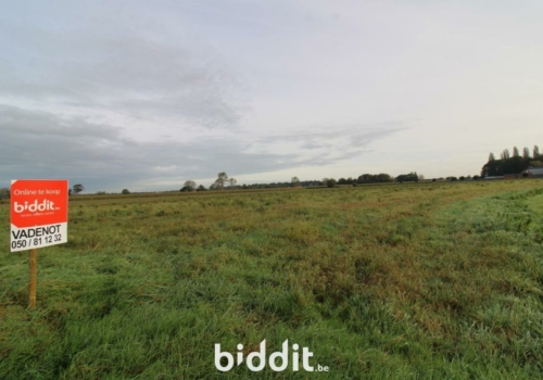Landbouwgrond te Jabbeke – 1ha95 – via Biddit 253066